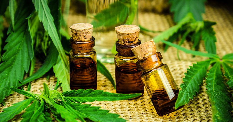 About CBD Oil For Dogs