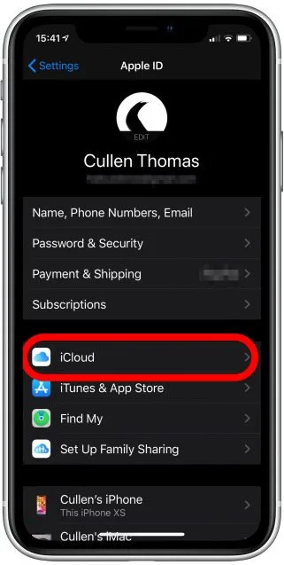 click on the iCloud button