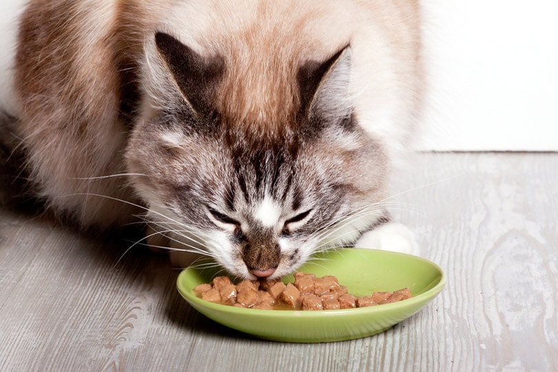 What is Cat Food for Loss Weight?